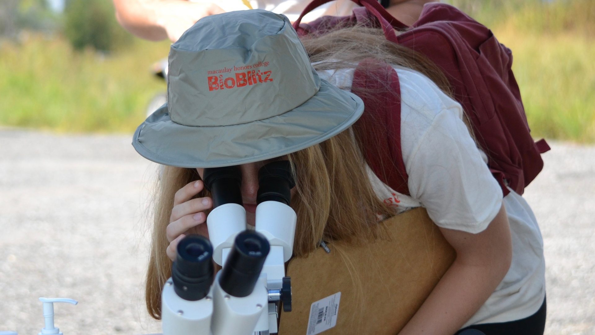 Student at Bioblitz looking at a microscope