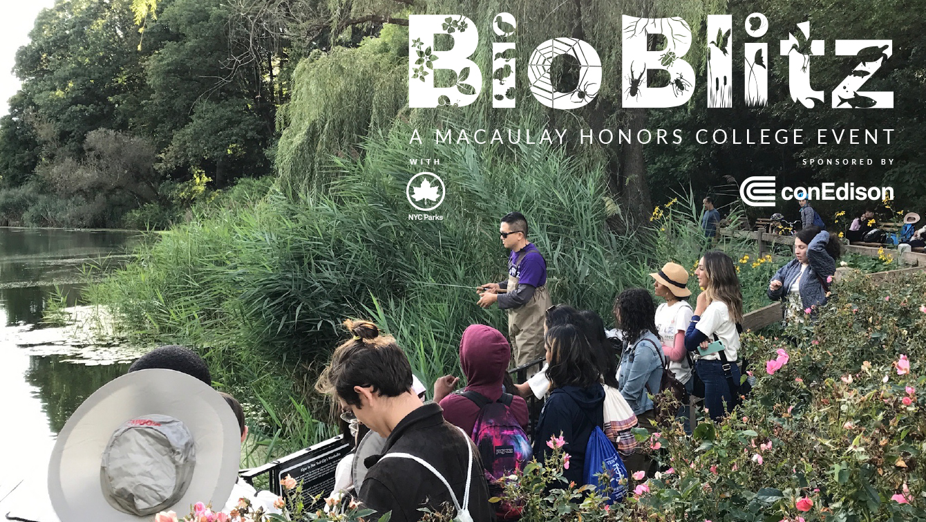 Bioblitz: A Macaulay Honors College Event sponsored by ConEdison