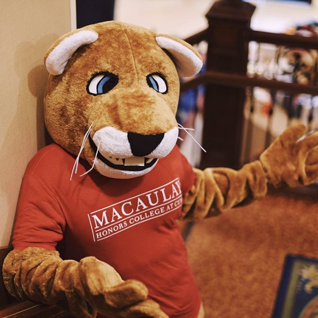 Macaulay Mountain Lion
